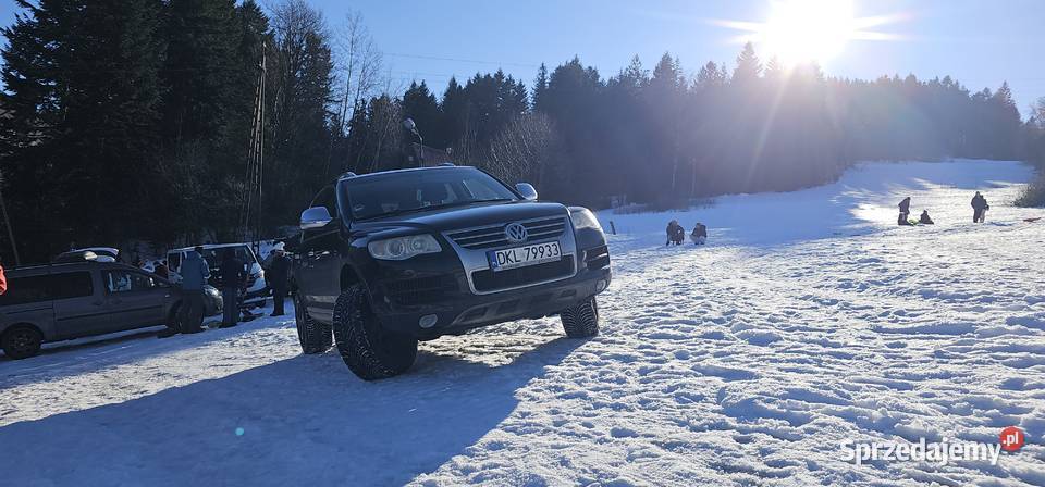 Touareg spotkaniu z sarną Przyborów