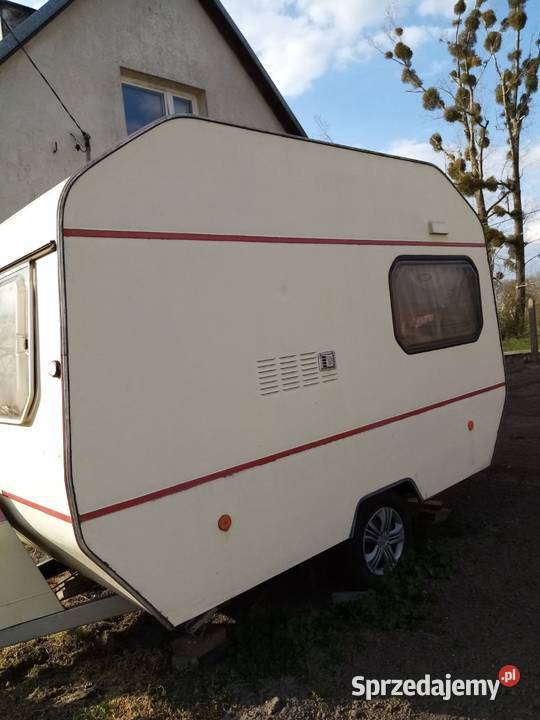 Wilk ci sport 320 1 Pałuki