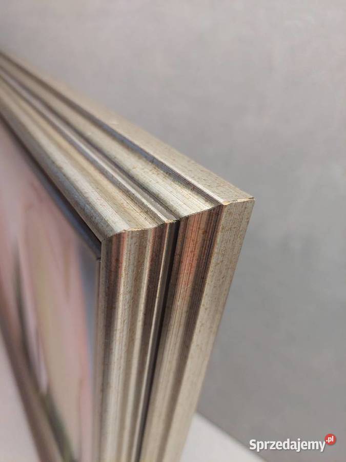 Kwiaty w jasnozłotej ramie trzy obrazy dolnośląskie Wrocław