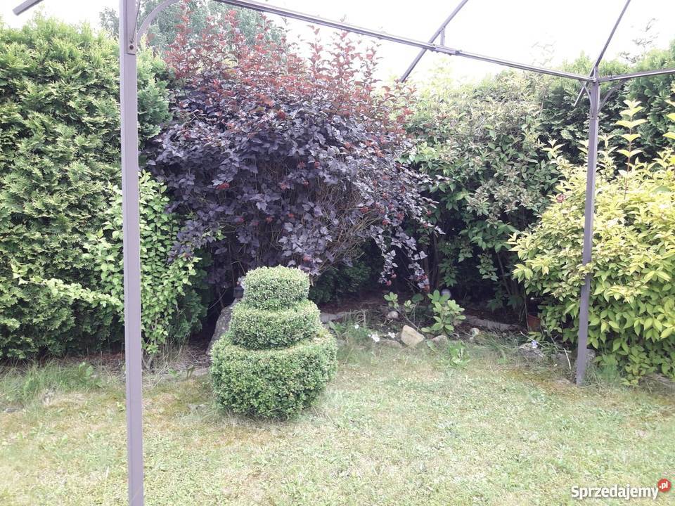 Działka Zacisze Mikołów woda