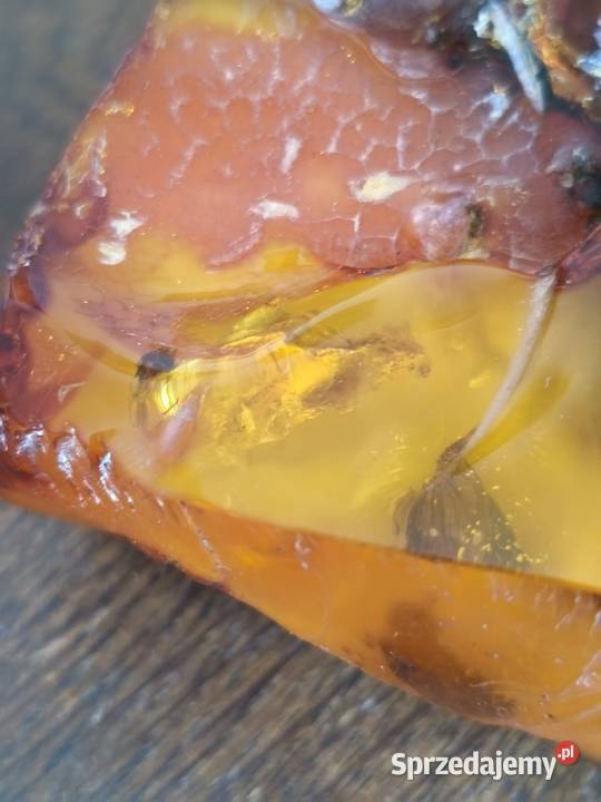 Bursztyn Inkluzja 144gram Pozostałe Białystok sprzedam