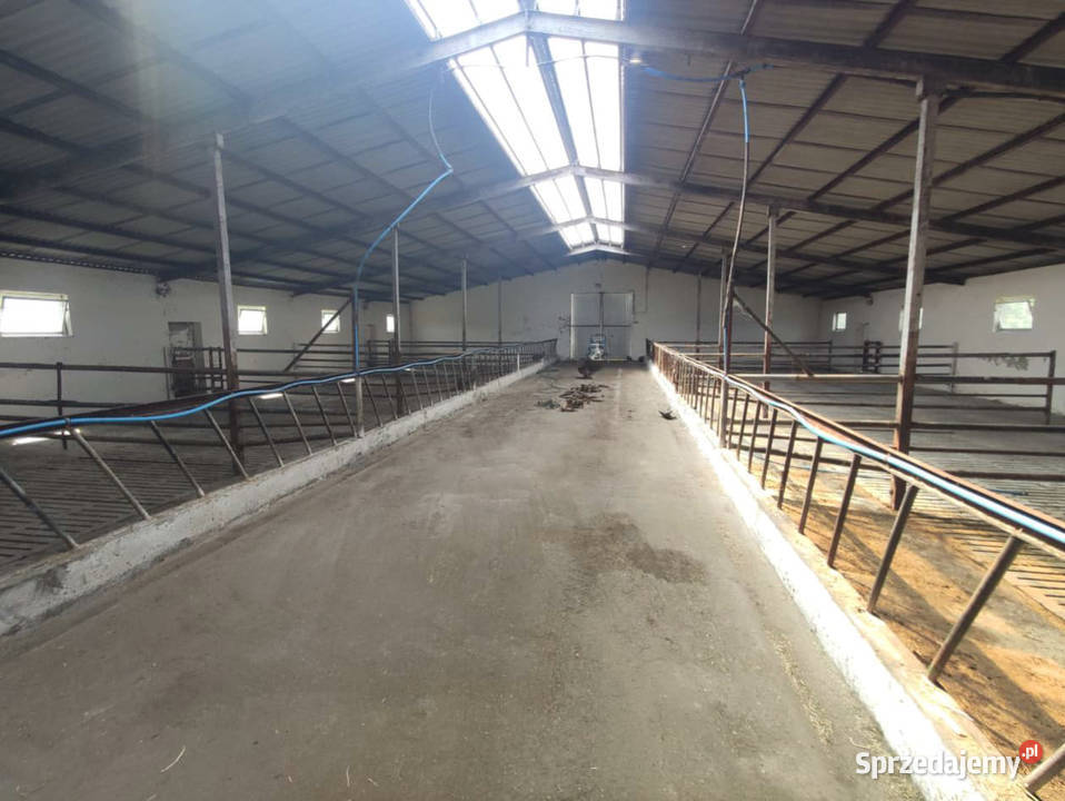 Syndyk sprzeda nieruchomość zabudowaną Nowa Wieś