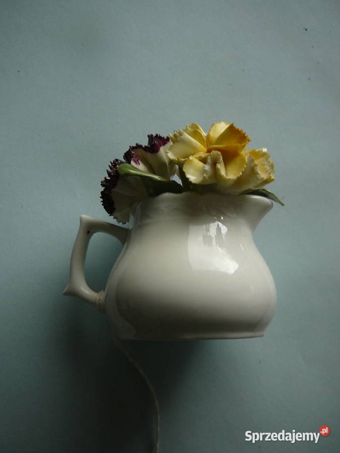 kwiatki w wazoniku ceramika logowana Anglia Wrocław