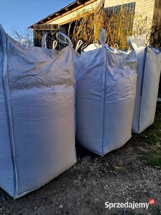 Jęczmień zimowy Aleksandra lubelskie Chełm