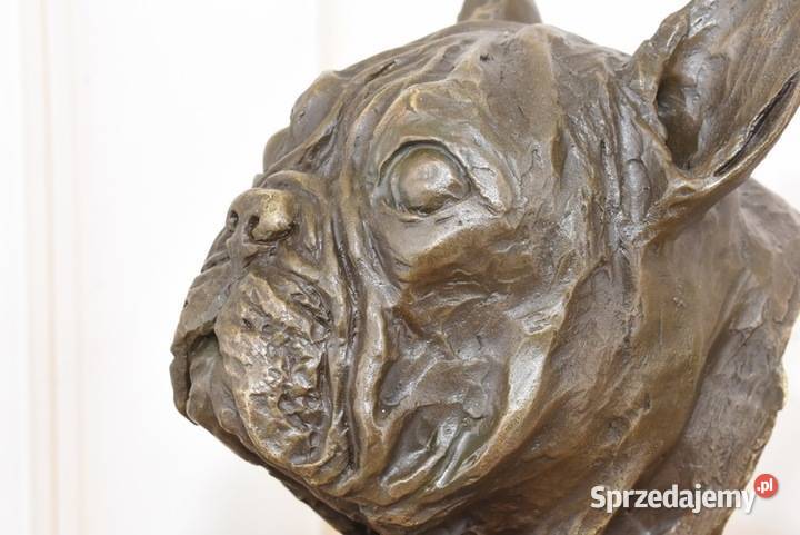 Popiersie Psa Buldog MOPS PIES Figura z Brązu Ogród Kraków