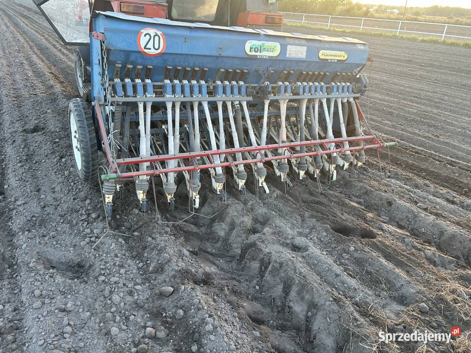 Siewnik poznaniak lubelskie