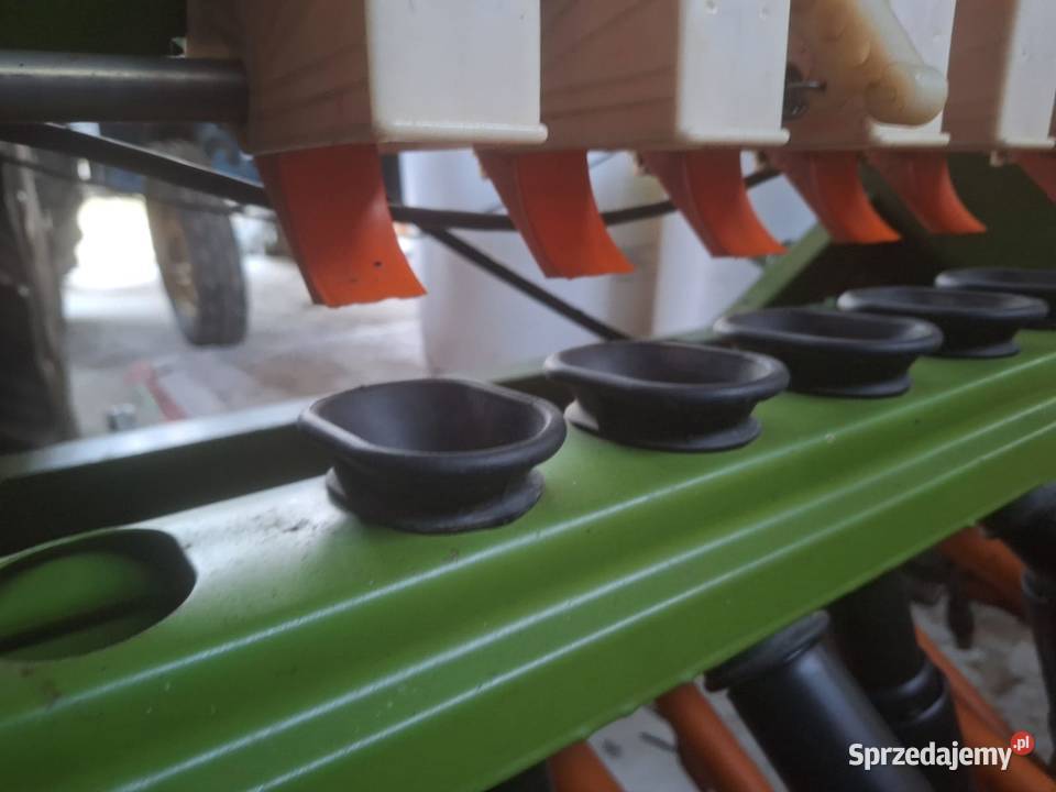 Siewnik zbożowy Amazone D8 special 3m Wójcin sprzedam