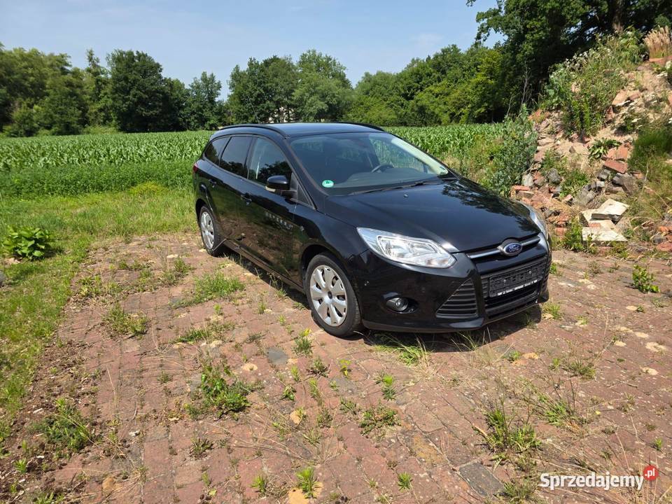 Ford Focus 2014r 10 pomorskie Bytów
