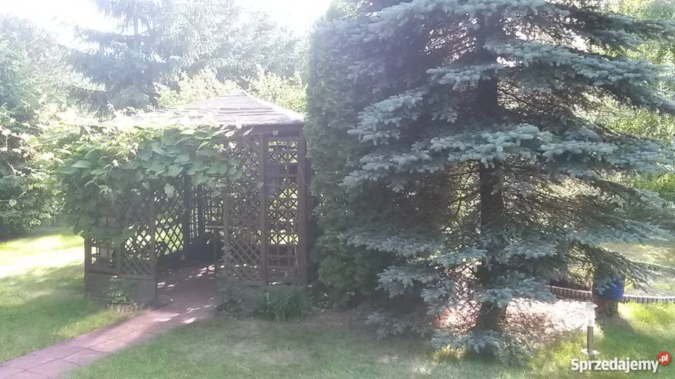 Działak rekreacyjna z domkiem rzeką ładnie Adamowo