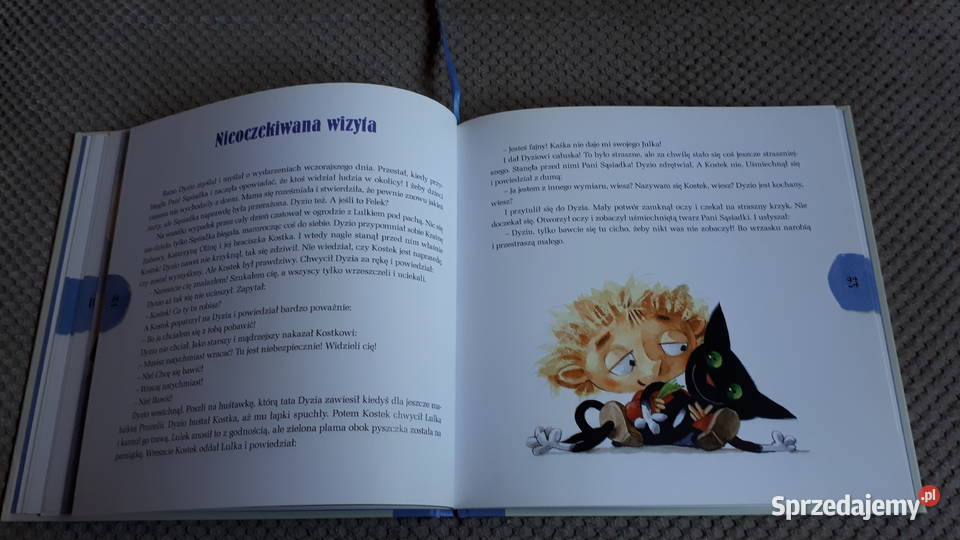 Potwór Dyzio i Kraina Zabawy Elżbieta Pałasz Kraków sprzedam