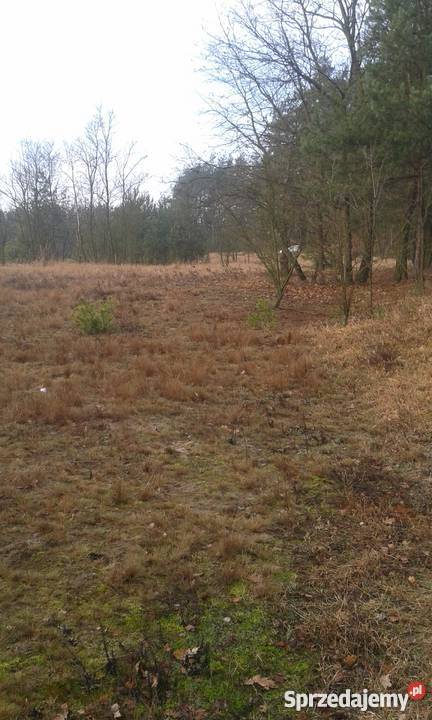 spokojne miejsce Arciechówek