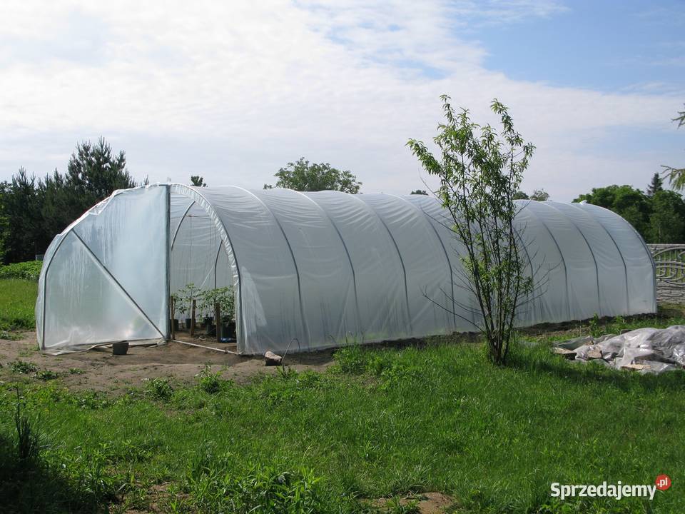 Niemiecka folia ogrodnicza tunelowa UV5 Rybnik