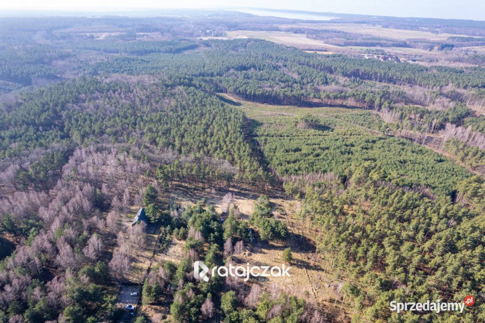 Grunt na sprzedaż 9751m2 Sasino Stara Cegielnia Nieruchomości pomorskie