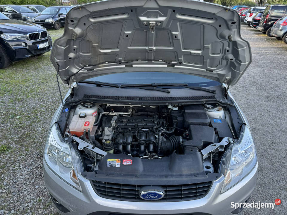 Ford Focus Szczecin