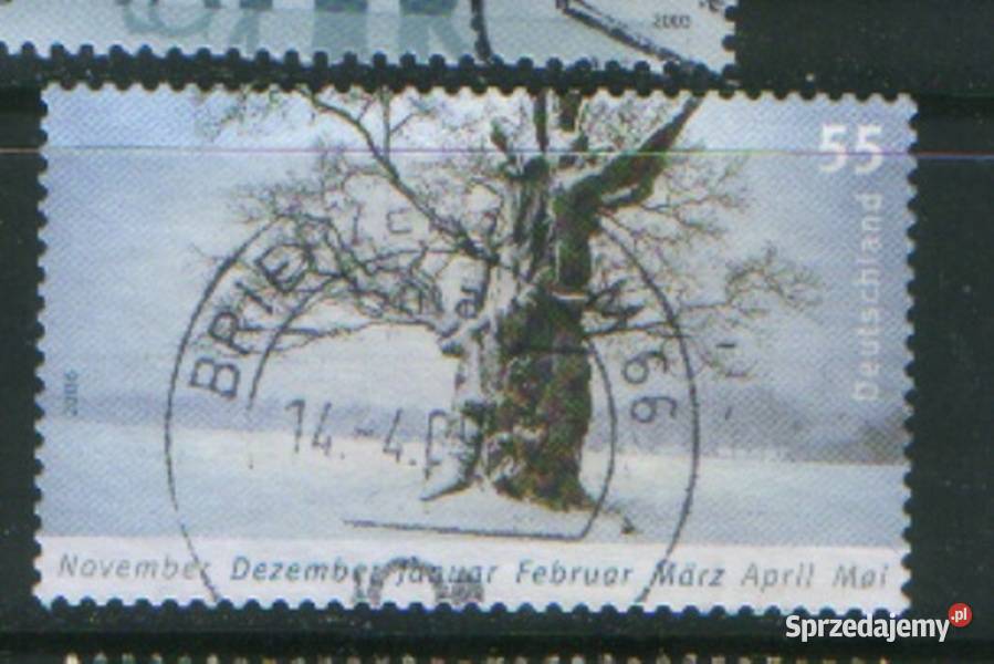 Zn RFN wykaz w opisie kas 2006 śląskie Gliwice