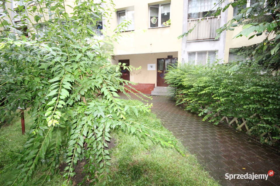 1pok 25met Oławskiej PIWNICA Wrocław