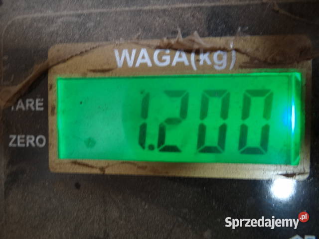 śrubki ESKA 1 6 10mm MZ TS ETZ Simson org DDR Żary