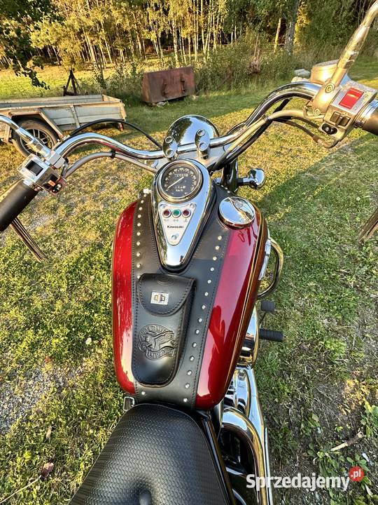 Triumph America Włodawa