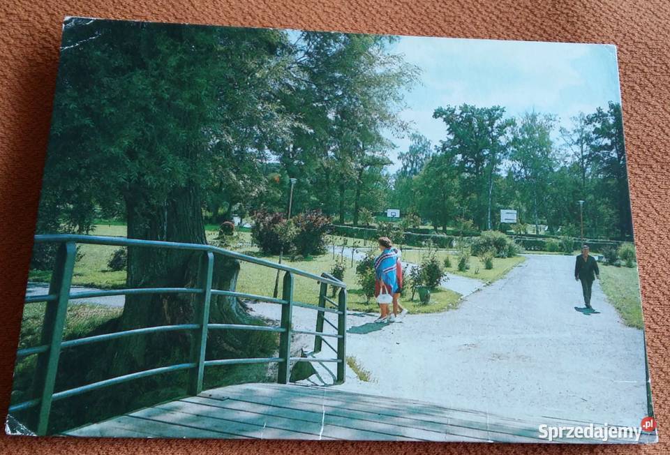 Pocztówki konie krajobrazy czyste format Pocztówki i karty telefoniczne