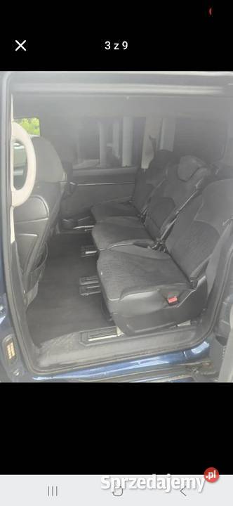 Citroen Niedźwiedź