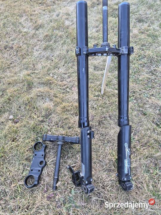 Sprzedam lagi diabolini 250 Jeżów Sudecki