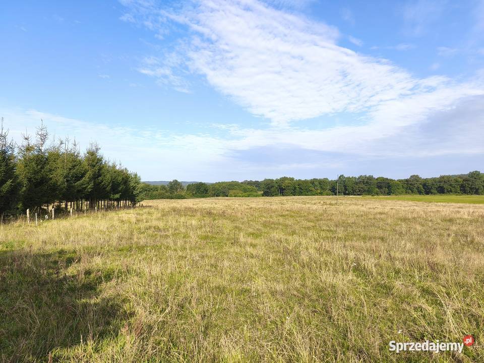 Z dala spojrzeń sąsiadów pomorskie Chocielewko