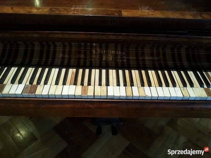 Antyk Zabytek Fortepian Kolekcjonera 1864 Przemyśl