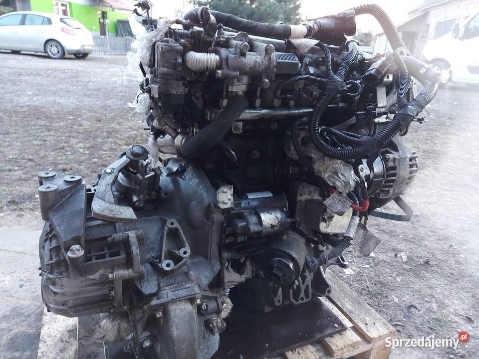 Skrzynia biegów Płońsk