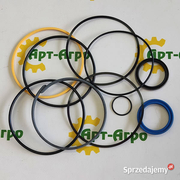 ACP0018990 Zestaw uszczelek Amity Agco Parts Pozostałe