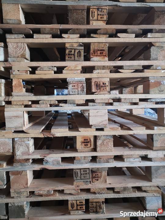 Palety 120x100 Używane Trzebnica