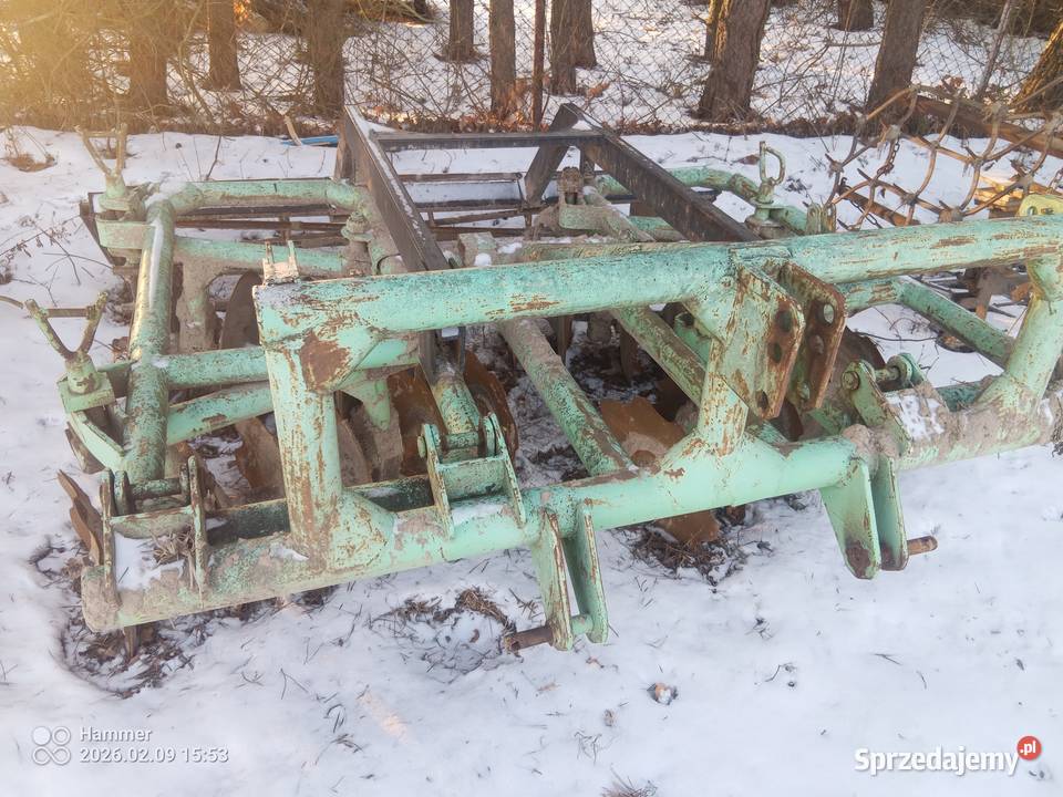 Talerzowka mazowieckie sprzedam