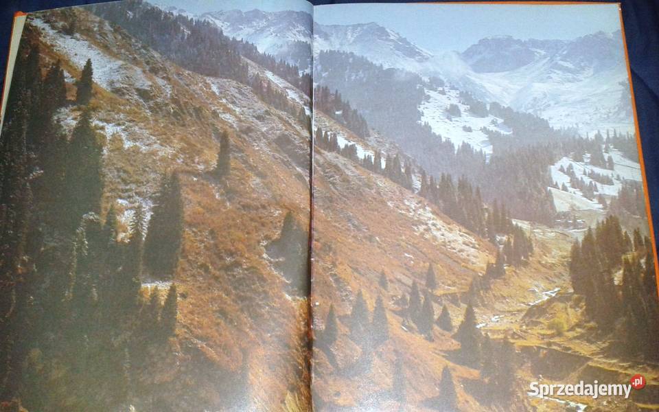 Świat tęczy Nikołaj Sładkow Chełm