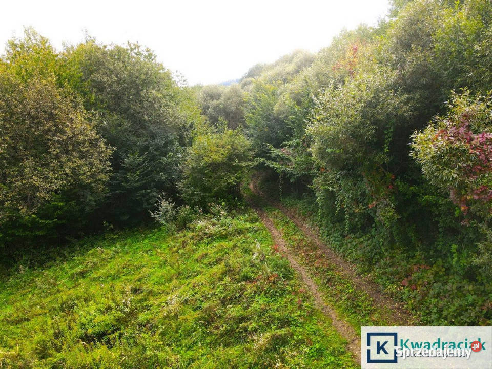 Działka 23000m2 Witryłów sprzedam