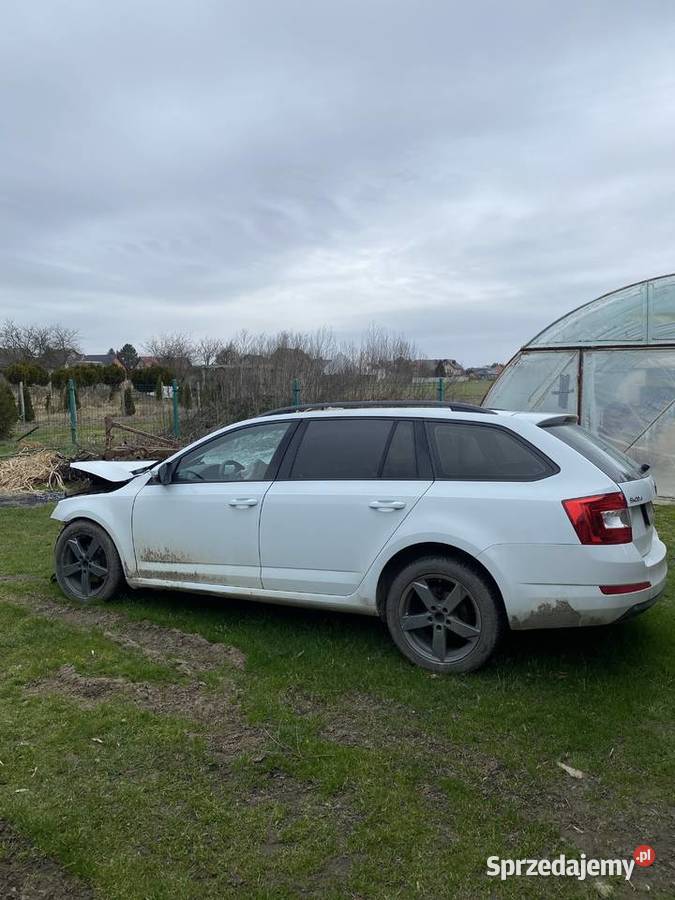 Skoda Octavia III 20 TDI 150 opolskie Brzeg