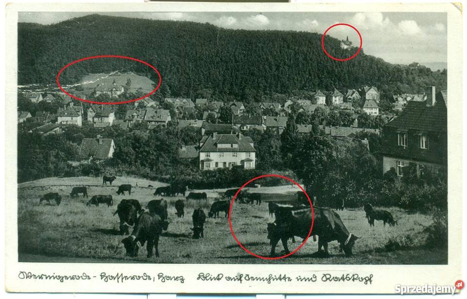 Wernigerode Harz Postkarte 1939 Ostrów Wielkopolski