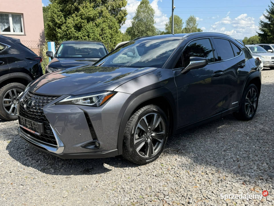 Lexus UX 250 Hybrid Skóra Ful LED Premium światła LED Łodygowice