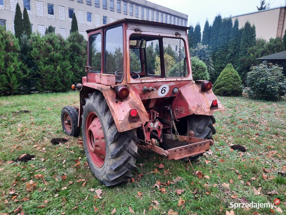 Traktor Utb 550 Ursus c355 zachodniopomorskie Dębno