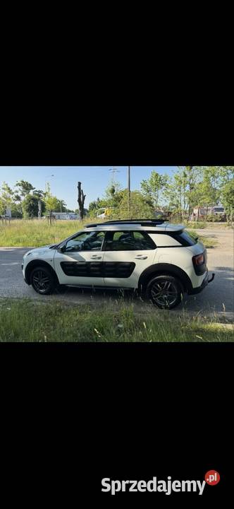 C4 cactus zamiana Samochody osobowe