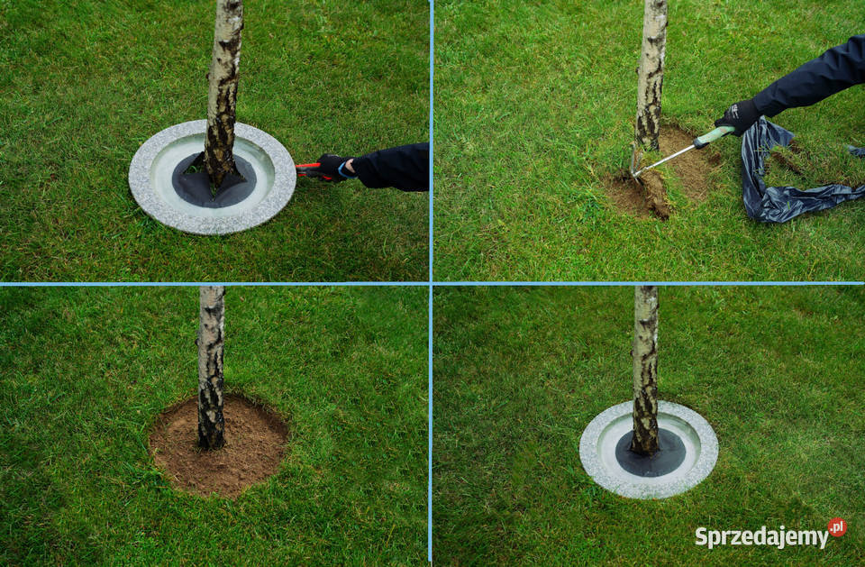 Obrzeże trawnikowe wokół drzew śr 70 sprzedam