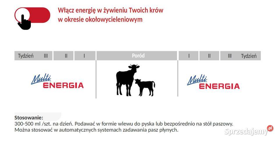 Multi ENERGIA Skuteczne wsparcie energetyczne Olszewo-Góra sprzedam