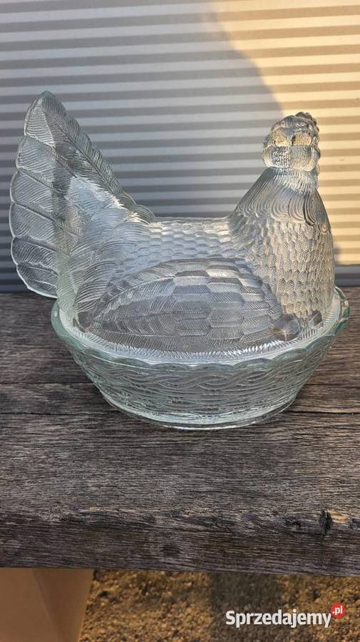 Duża kura prl Ciechanowiec