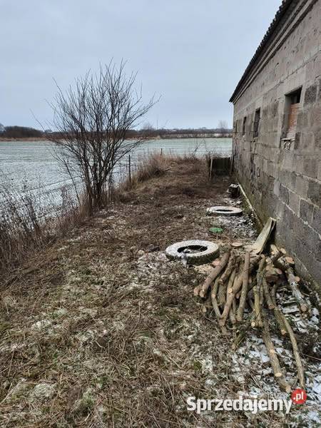 Przycinanie koron świerków i wycinka koszenie Hrubieszów