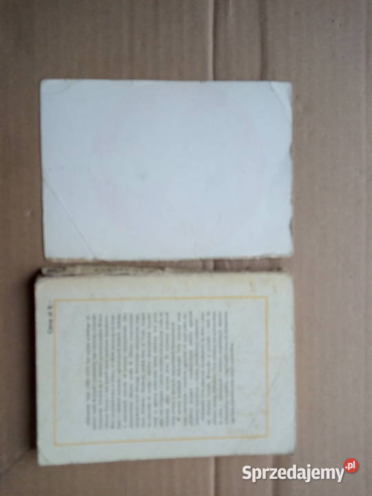 Biegnąca falach Aleksander Grin Sokółka