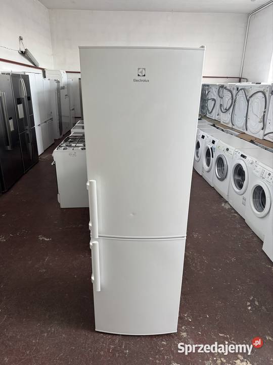 Lodówka Electrolux 185 A SPRAWNA Gwarancja Warszawa