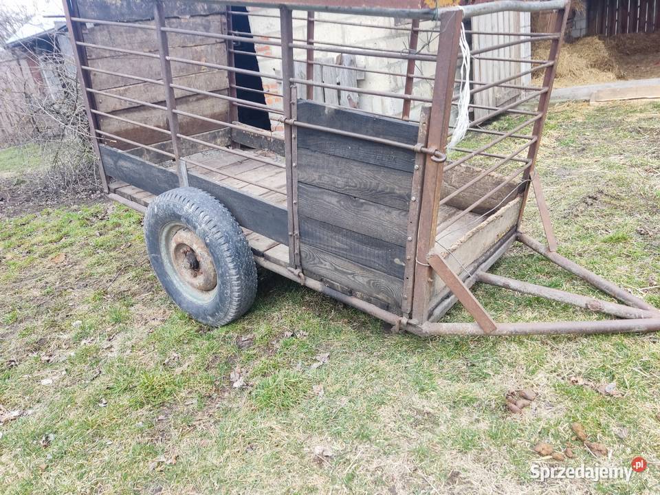 wózek do przewozu zwierząt nieuszkodzony Maszyny rolnicze Chełm
