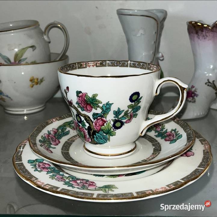 Mlecznik Duchess Madę in England Gdańsk