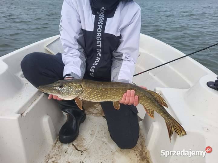 Wynajmę działkę rekreacyjną jeziorze Białym Goleń sprzedam