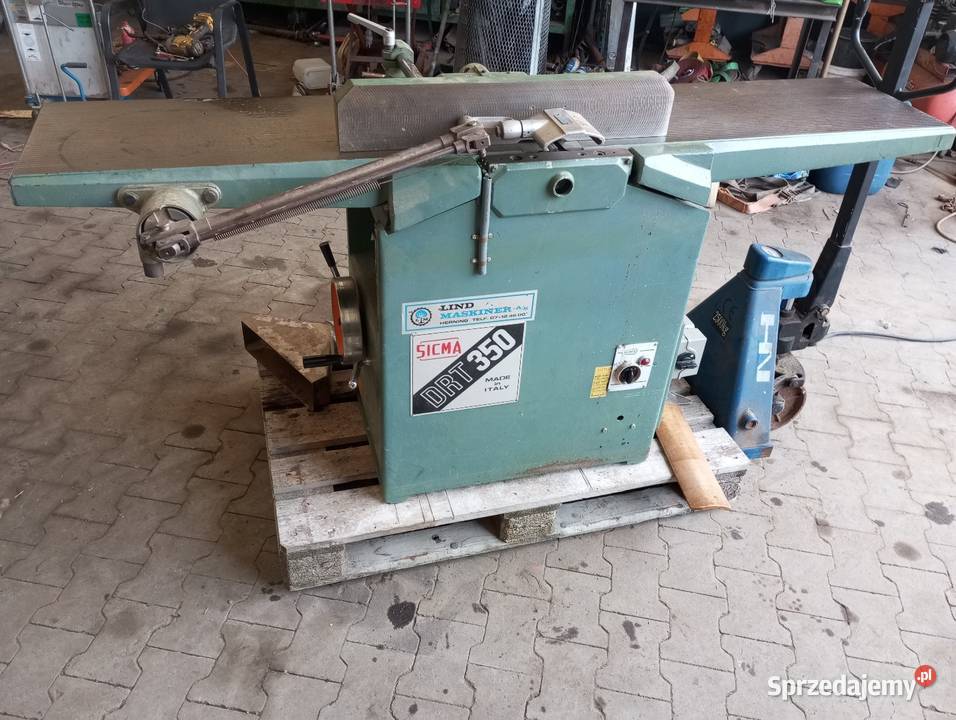 Grubościówko wyrówniarka Buk