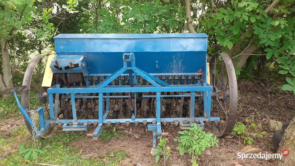 Poznaniak 19 2m Krasnystaw