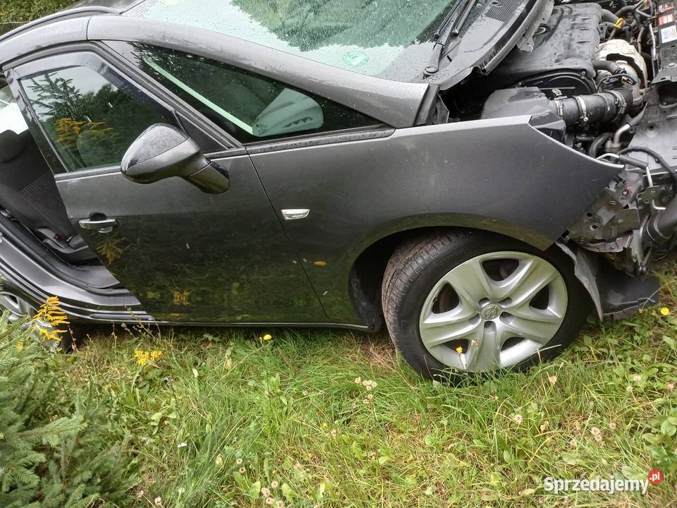 Zafira poszczególne czesci lubuskie Niegosław